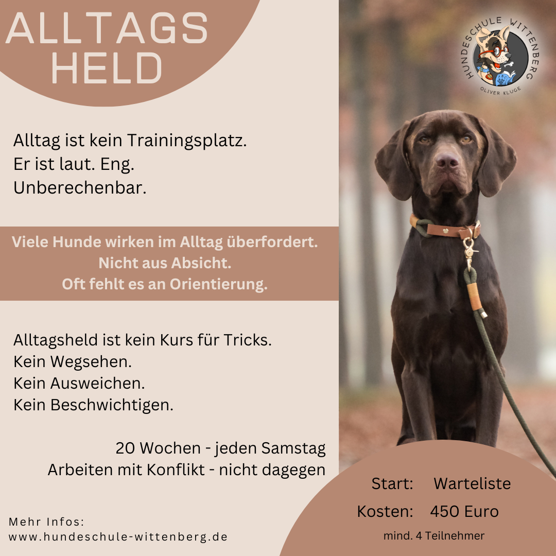 Ein Plakat mit einem Hund an der Leine, auf dem steht: „Alltags held“