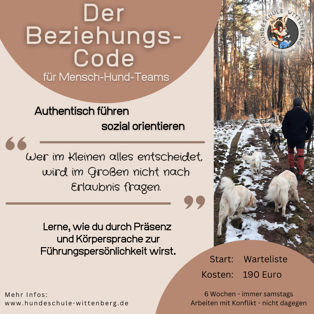 Werbung für ein Hundetrainingsprogramm. Text: „Der Beziehungs-Code“. Mann und Hunde spazieren im Wald.
