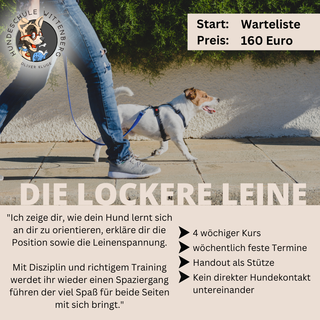 Eine Person geht mit einem kleinen Hund an der Leine spazieren