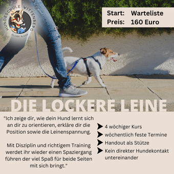 Eine Person geht mit einem kleinen Hund an der Leine spazieren