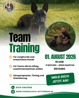 Team-Training Plakat für eine Hundetrainingsveranstaltung mit deutschem Text, schwarzem Hund im Gras und grünen Hinweisen zur Handlungsaufforderung
