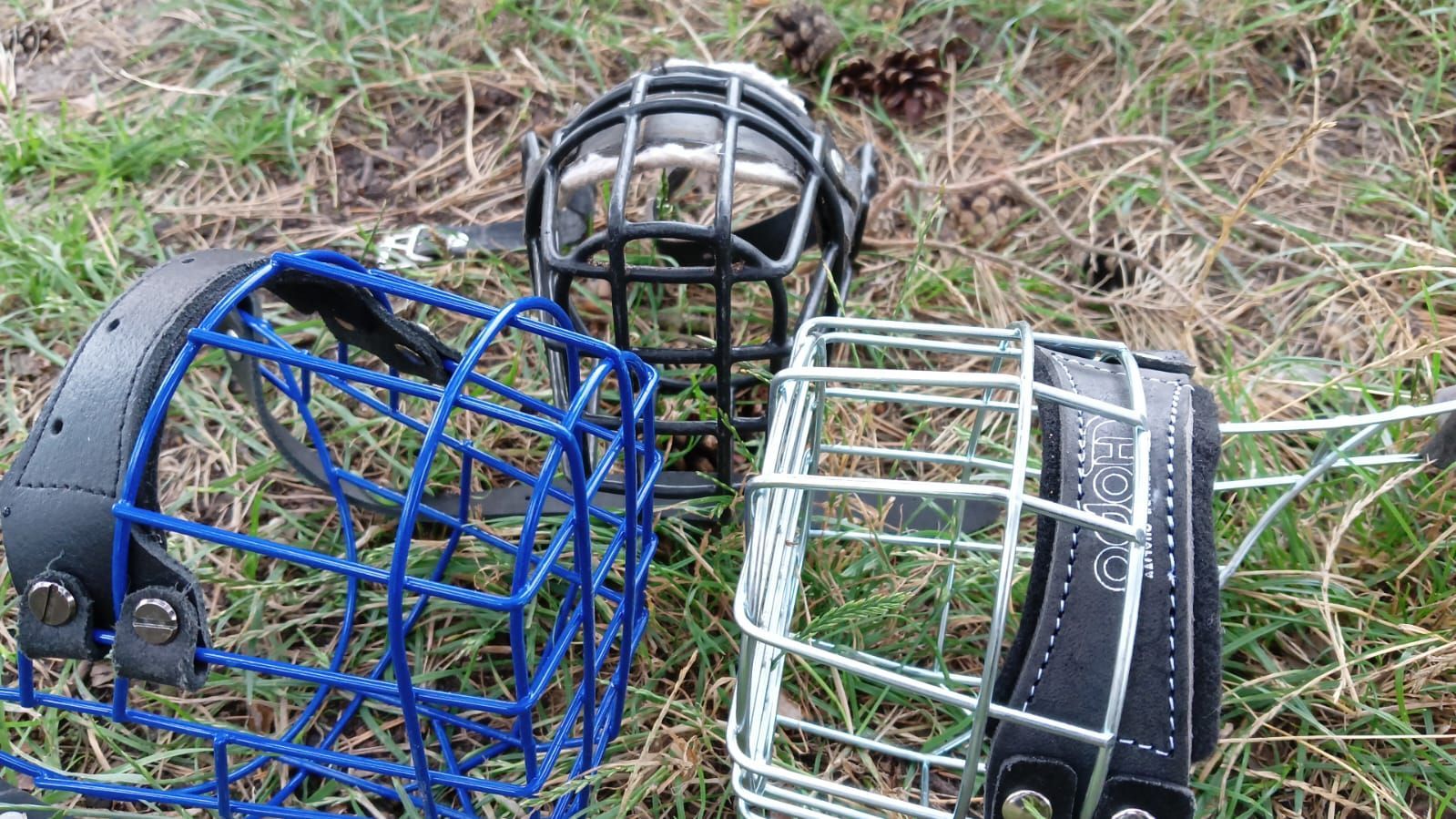 Drei Hundemaulkörbe liegen auf einem üppigen grünen Feld.