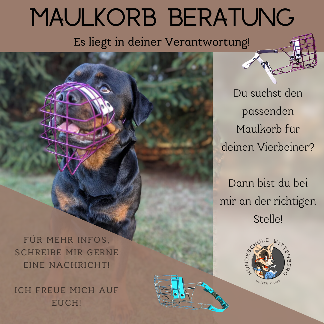 Ein Bild von einem Hund mit Maulkorb