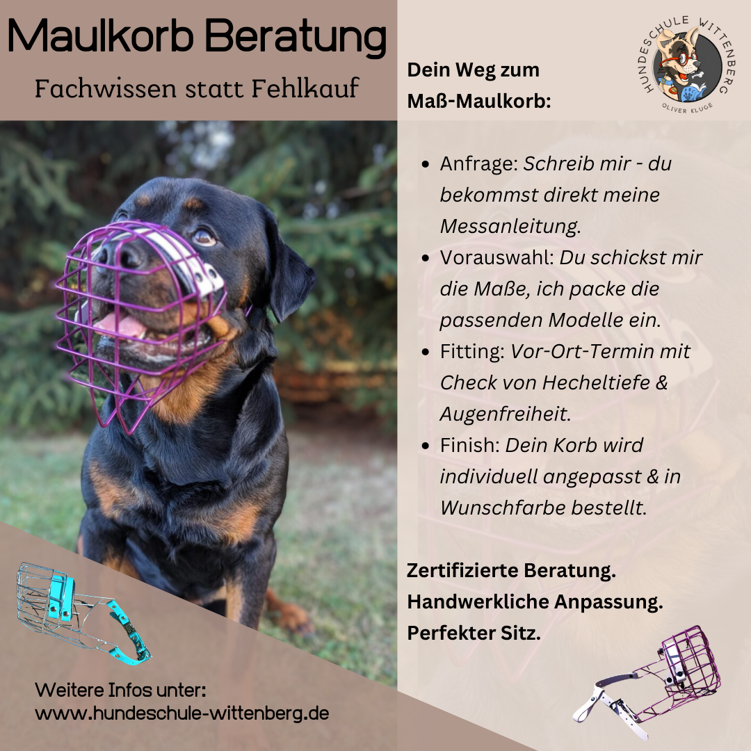 Ein Bild von einem Hund mit Maulkorb