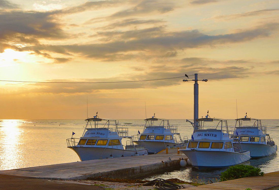 Boats docked at a pier during sunset. Golden light reflects on the water and sky.