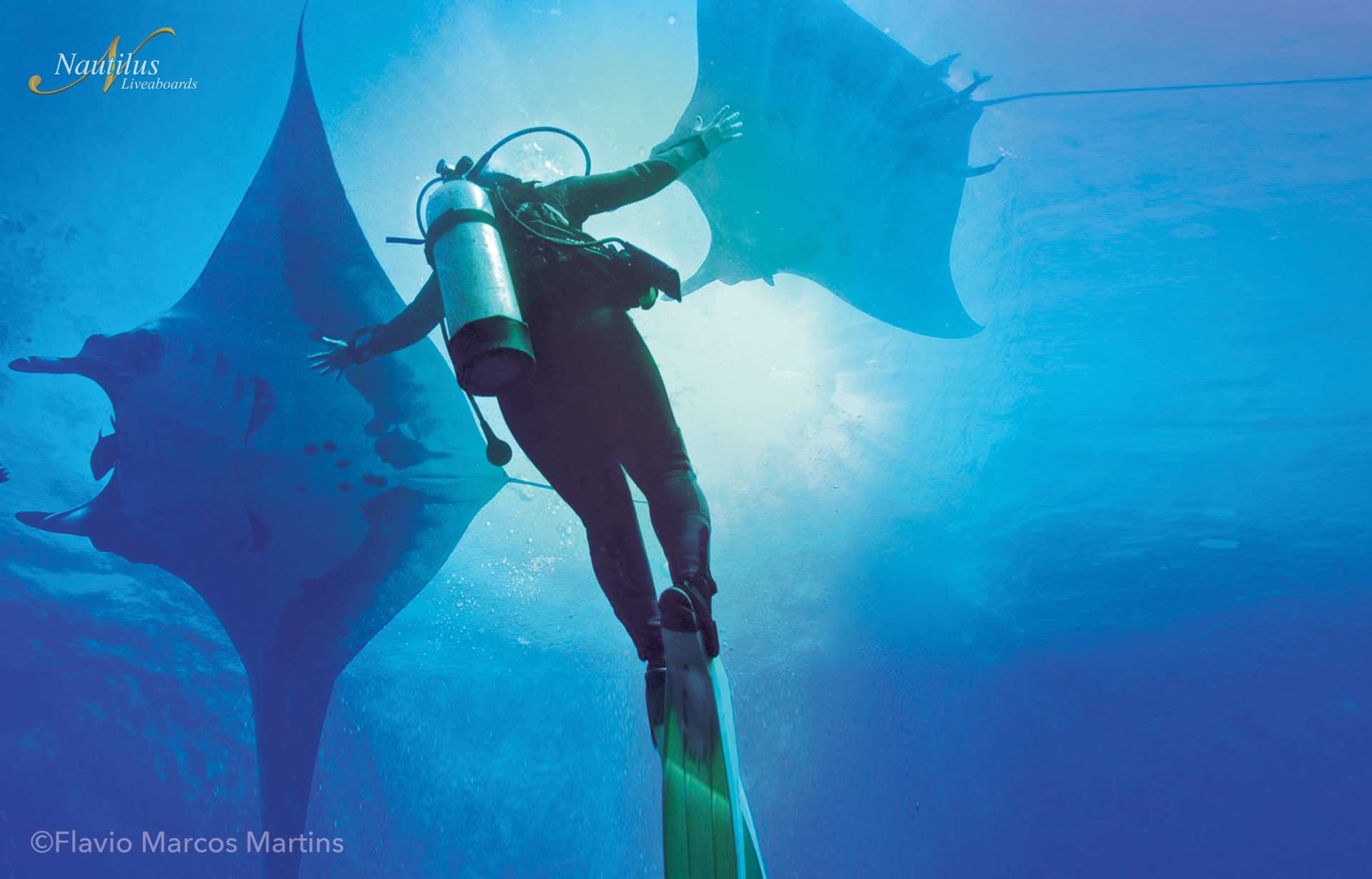 Scuba diver swims with manta rays in blue ocean, arms outstretched, sun shining through water.