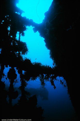 Underwater view looking up, dark silhouette of cave walls frames a bright blue opening.