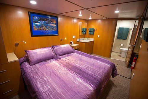 Bedroom on a boat with a double bed, purple bedding, wooden paneling, and a bathroom.