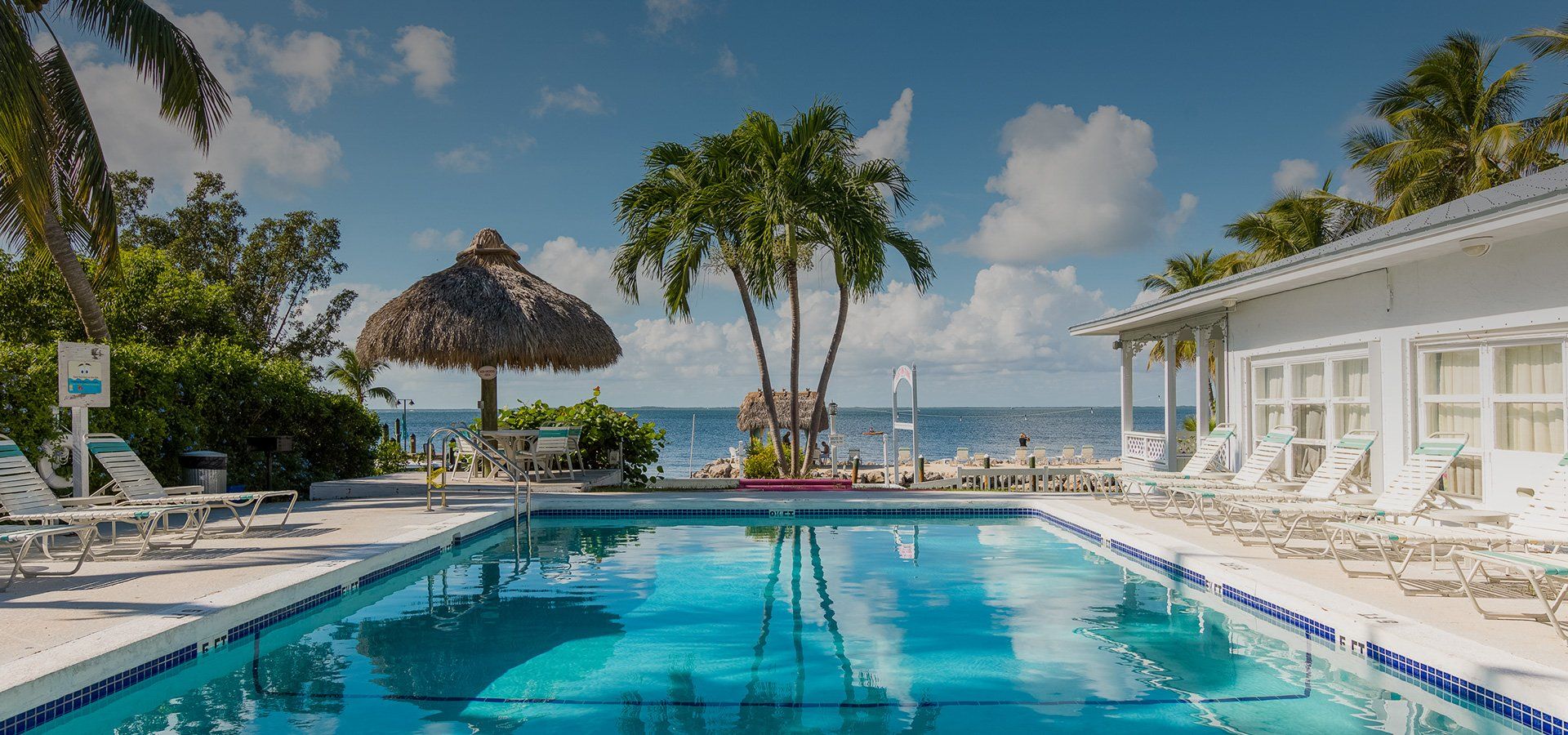 Pool with blue water and ocean view, palm trees, sunny sky.