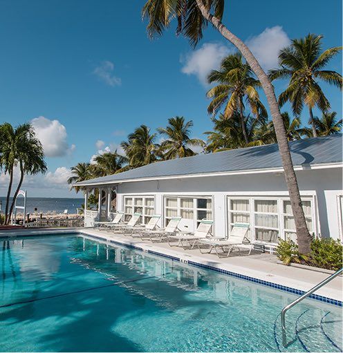 Swimming pool and beach scene, white building, palm trees, blue sky, lounge chairs.