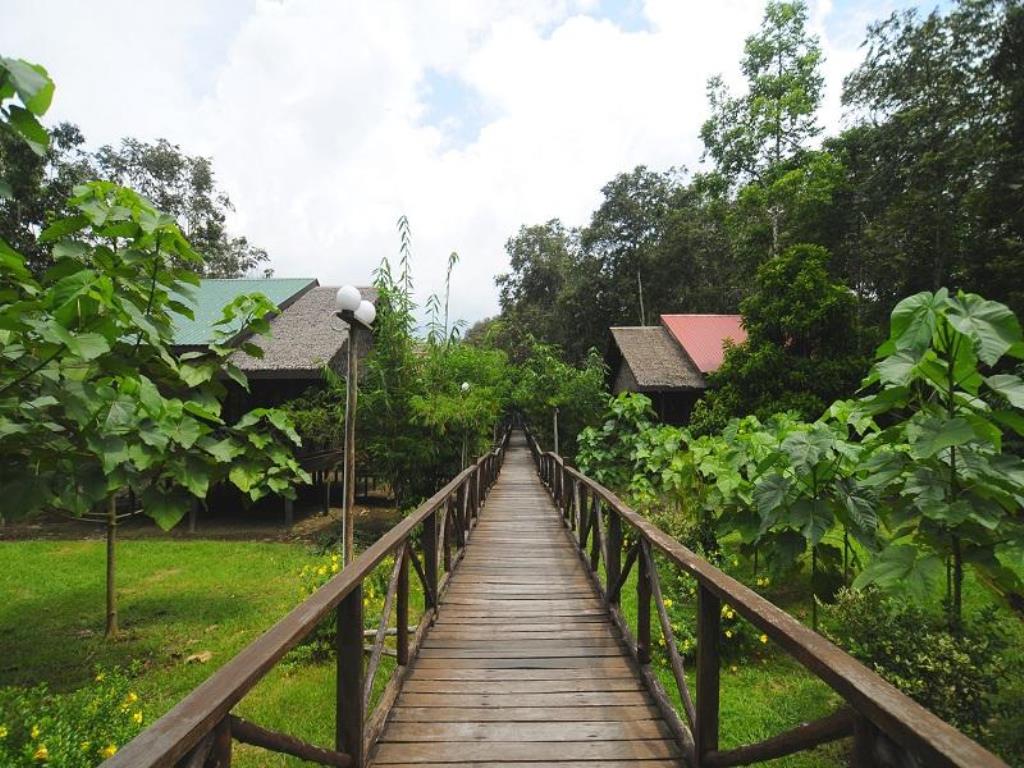 Wooden bridge leading to cabins amid lush greenery.