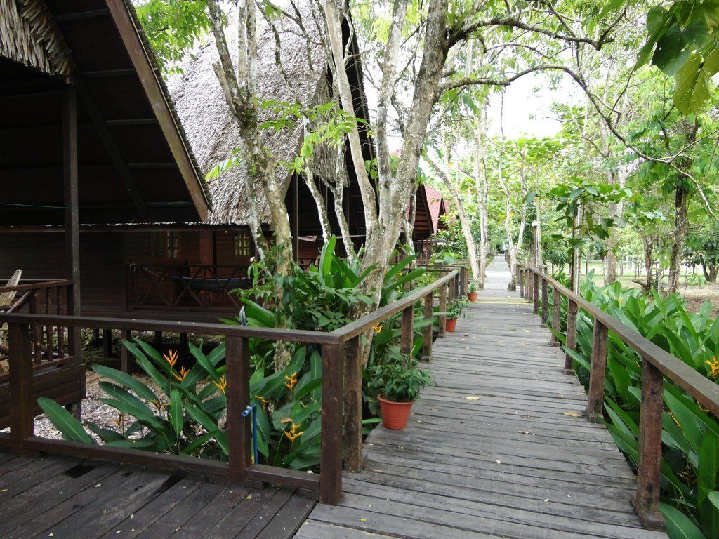 Wooden walkway lined with potted plants, leads past cabins with thatched roofs in a tropical setting.