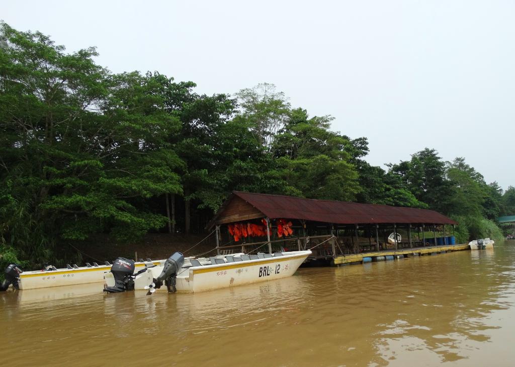 Boats docked at a covered pier along a riverbank surrounded by green trees.