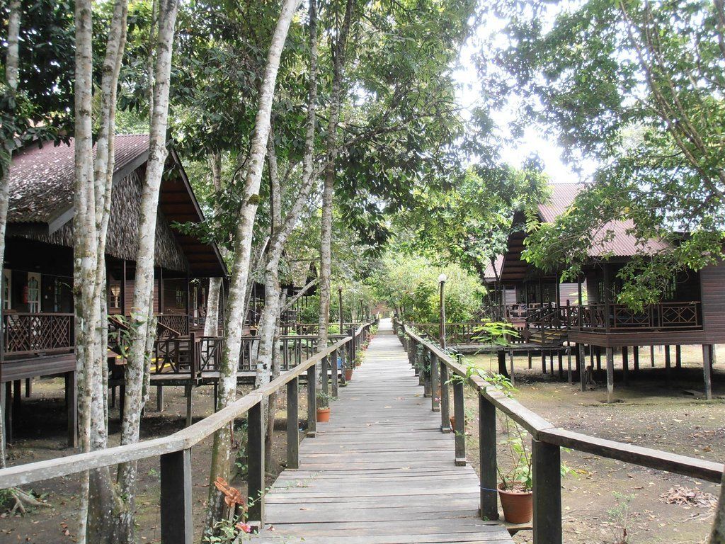 Wooden walkway through resort with stilted cabins and lush trees.