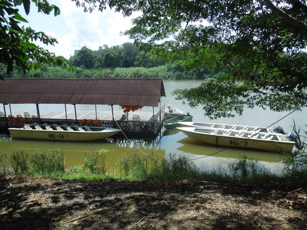 Boats docked at a covered pier on a river, surrounded by trees and vegetation.