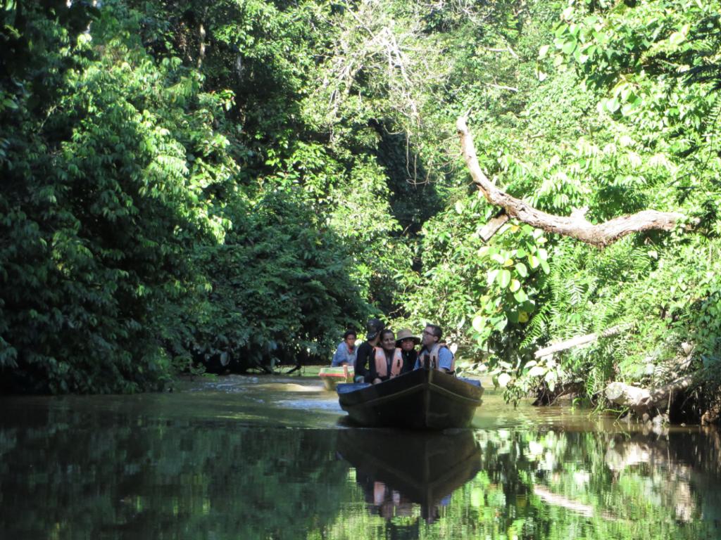 A boat with people navigates a river in a lush, green forest with reflections in the water.