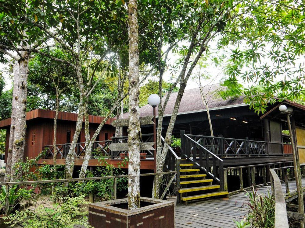 Wooden cabins with walkways and stairs surrounded by trees.