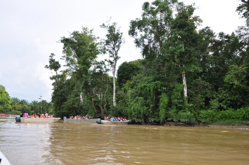 Brown river with green trees on the bank. People and boats are visible in the background.