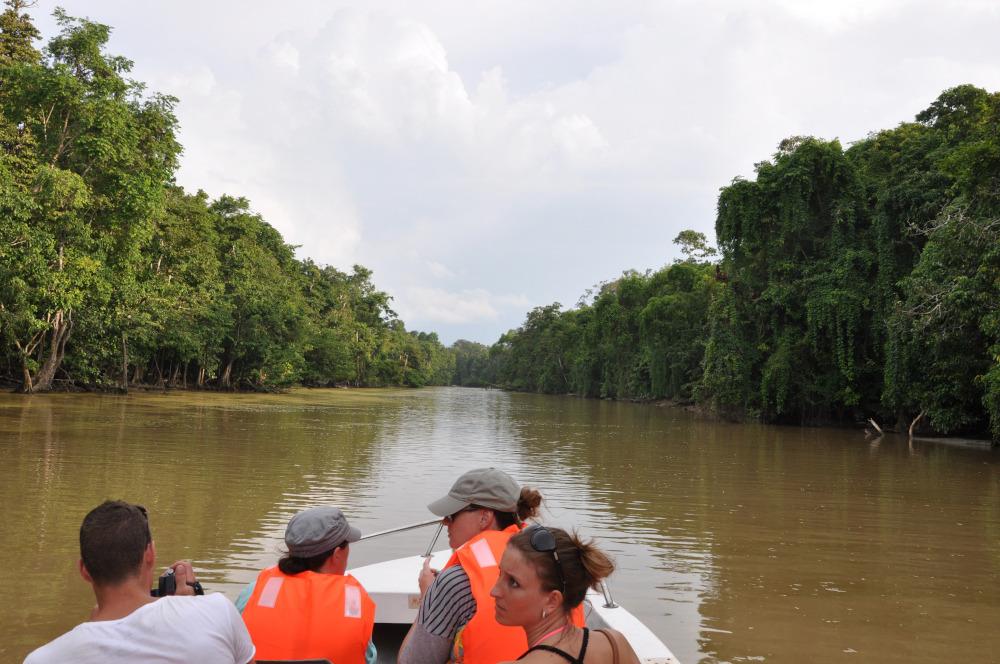 People in orange life vests on a boat traveling through a river surrounded by dense green trees.