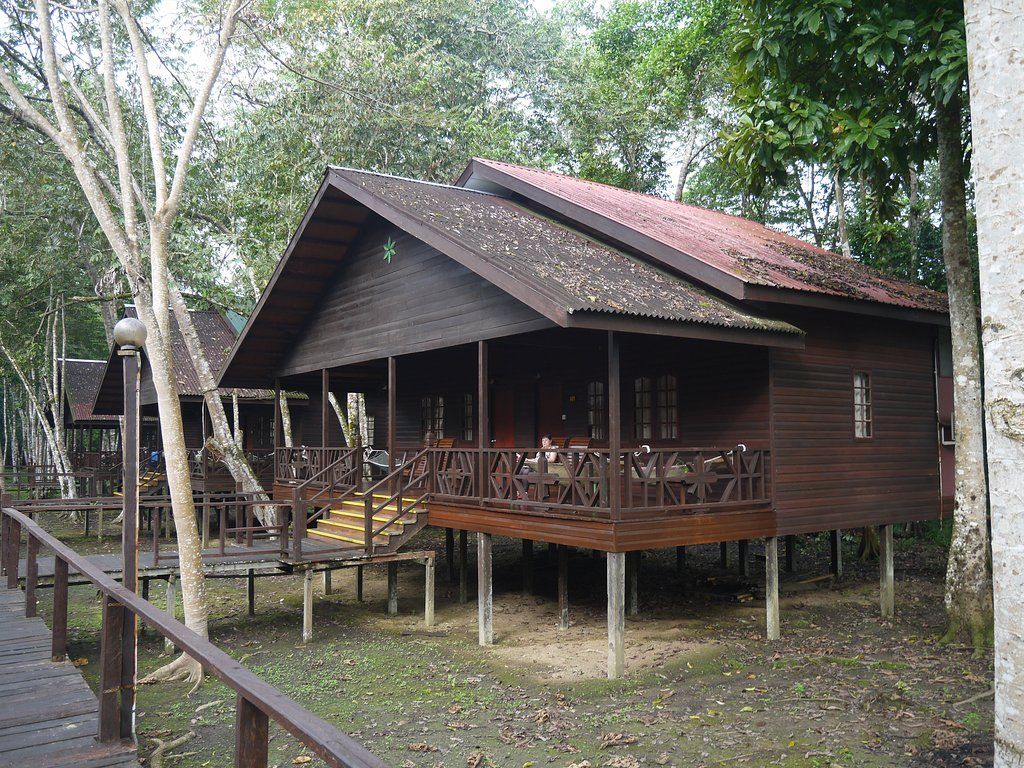 Wooden cabins on stilts with porches, surrounded by trees.