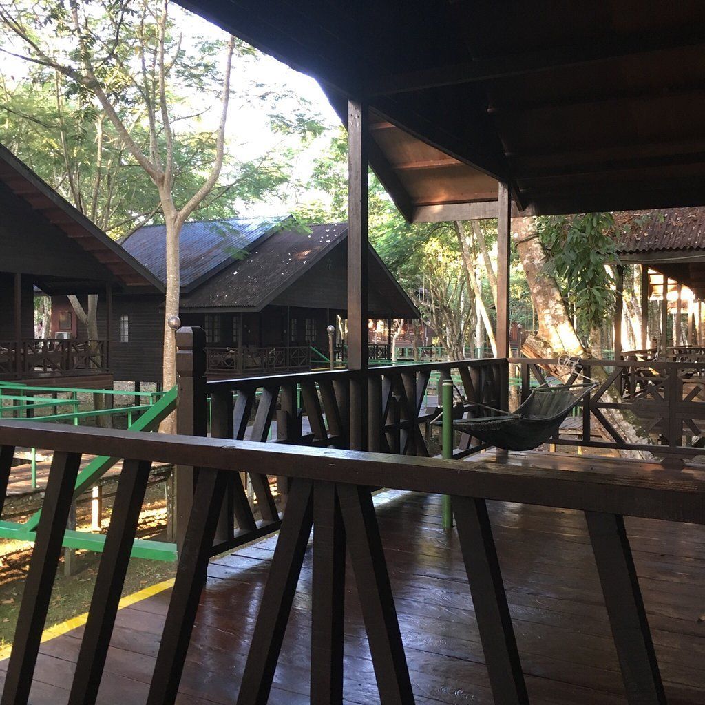 Wooden cabins in a forest, with a porch and a hammock visible. Overcast day.