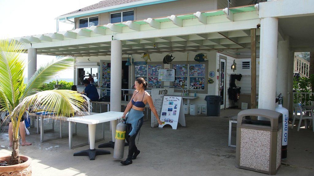 Woman in scuba gear carrying a tank near a dive shop with a pergola.