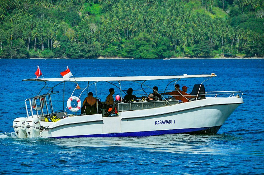 Boat with passengers on blue water, lush green island in background.