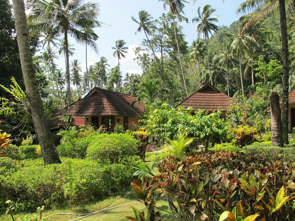 Wooden bungalows nestled in lush tropical vegetation.