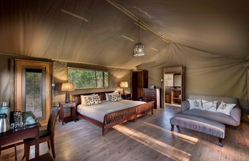 Luxury tent interior with a bed, sofa, and wooden furniture, with a natural light and trees visible through a window.