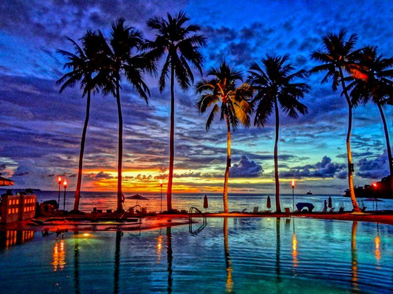 Palm trees silhouetted against a colorful sunset, reflecting in an infinity pool, ocean view.