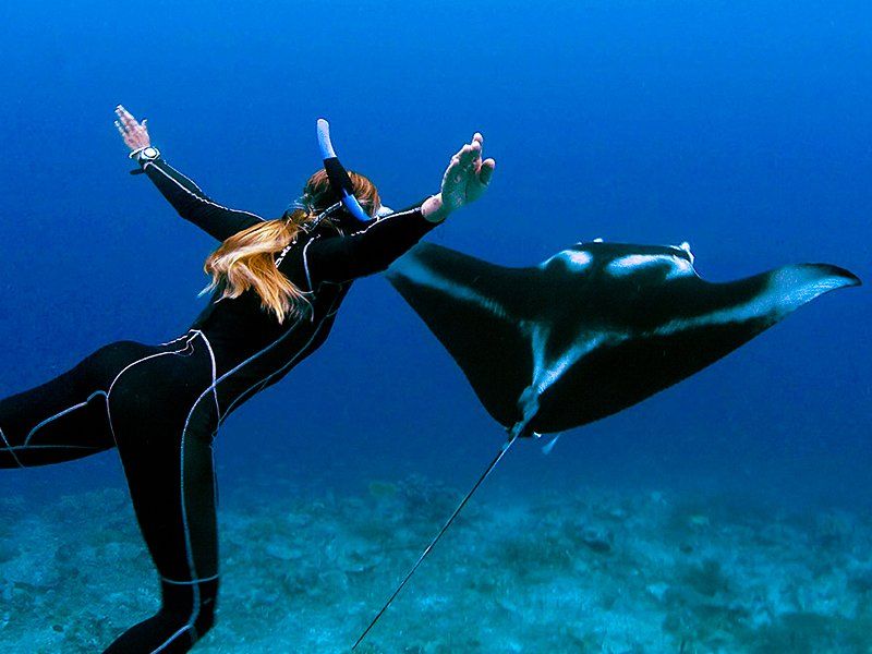 Woman snorkeling underwater with a large manta ray, arms outstretched, in blue ocean.