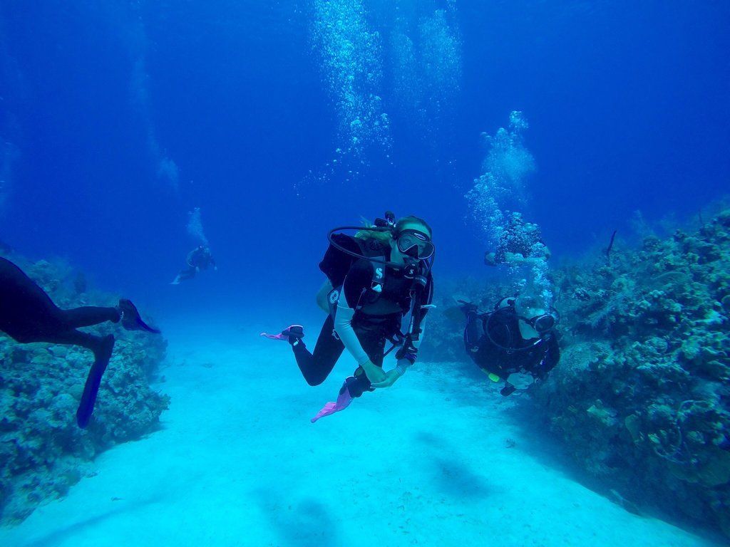 Divers in blue ocean, swimming near reef, with bubbles rising.