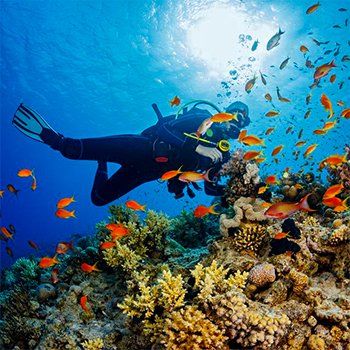 Scuba diver exploring a coral reef, surrounded by orange fish in turquoise water.