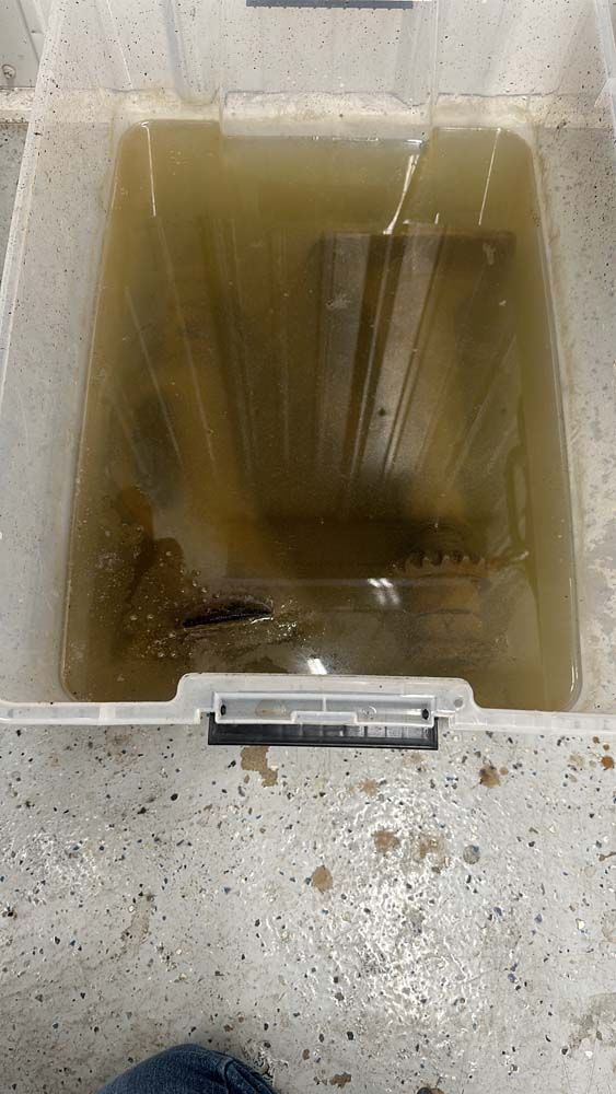 A plastic container filled with water and a piece of wood.