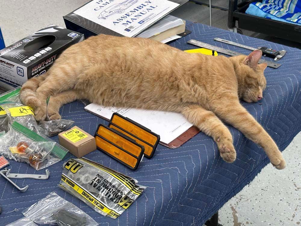 A cat is laying on a table with a manual on it