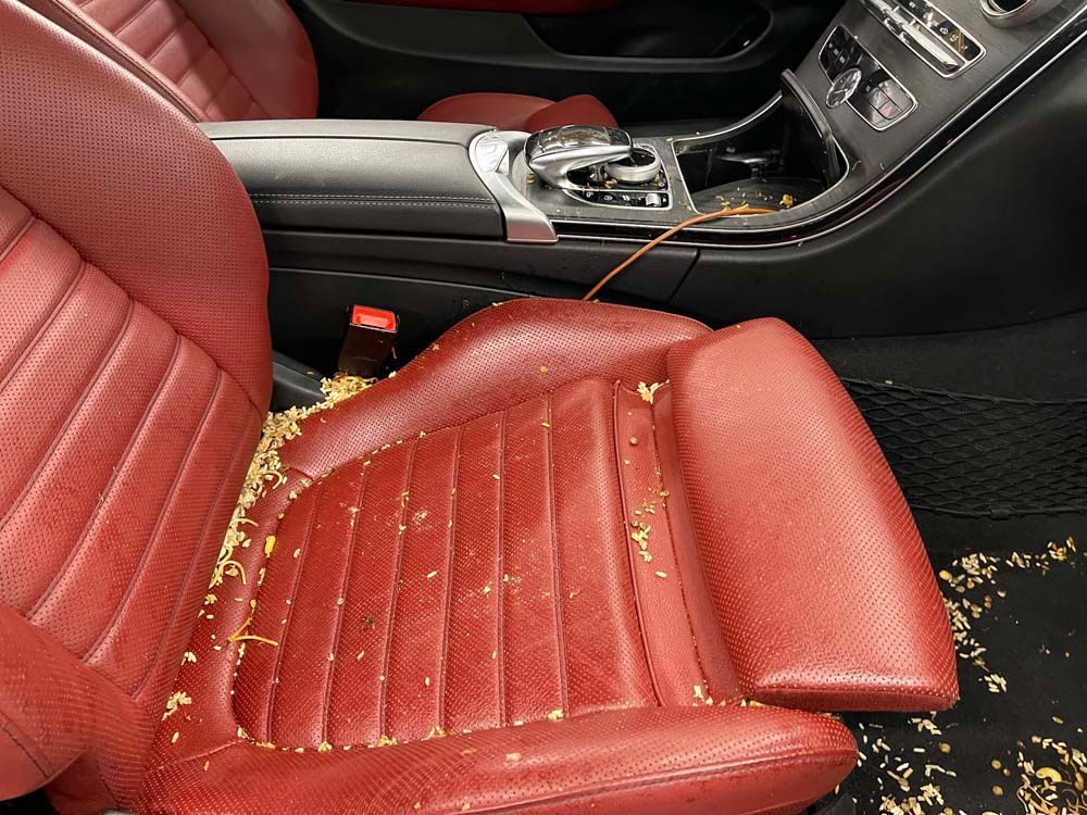 A red leather car seat is covered in crumbs
