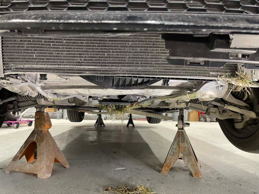 The underside of a car is sitting on jack stands in a garage.