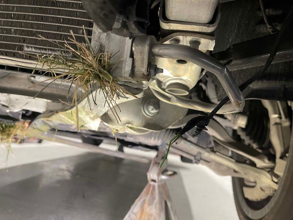 A close up of the underside of a car with grass growing out of the radiator.