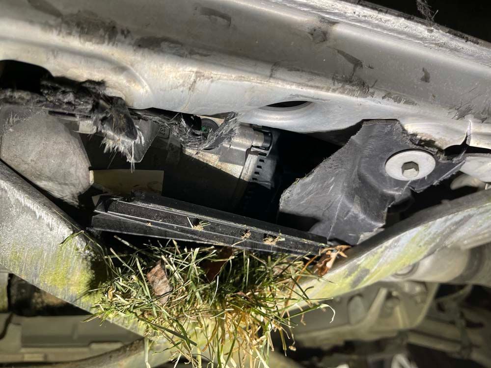 A close up of the underside of a car with grass growing out of it.