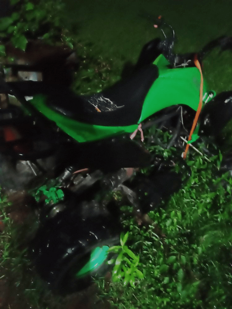Green and black motorcycle lying on its side in grass.
