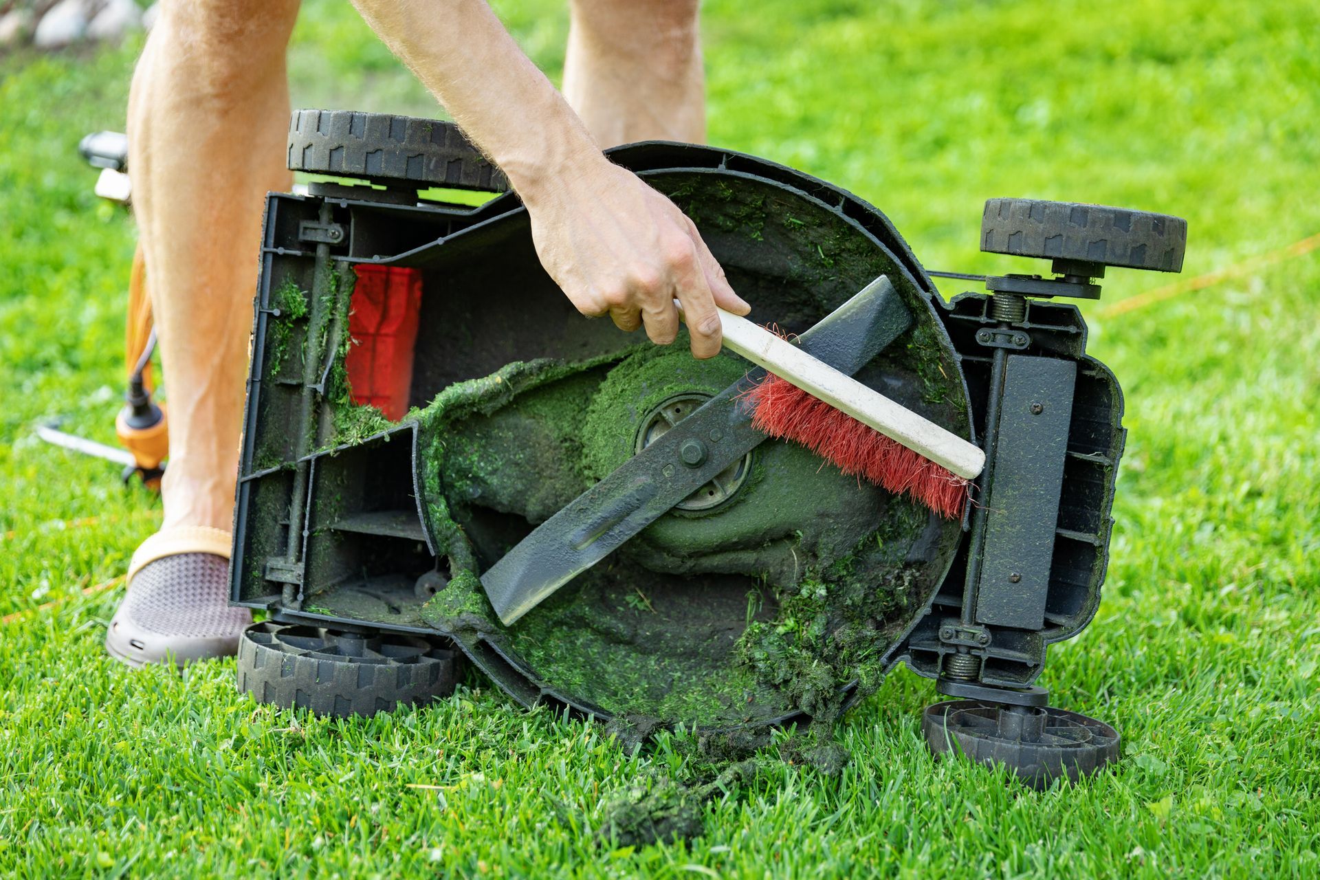 Person cleaning the underside of a lawn mower with a brush on a grassy lawn.