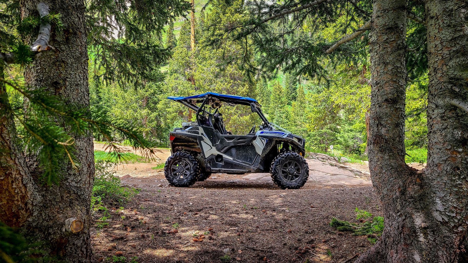 Side-by-side ATV on a dirt path in a forest, framed by trees.