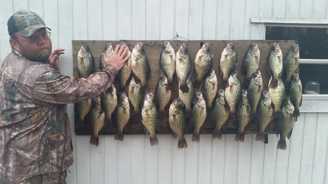 Man in camo stands beside rows of fish hanging on a rack outdoors