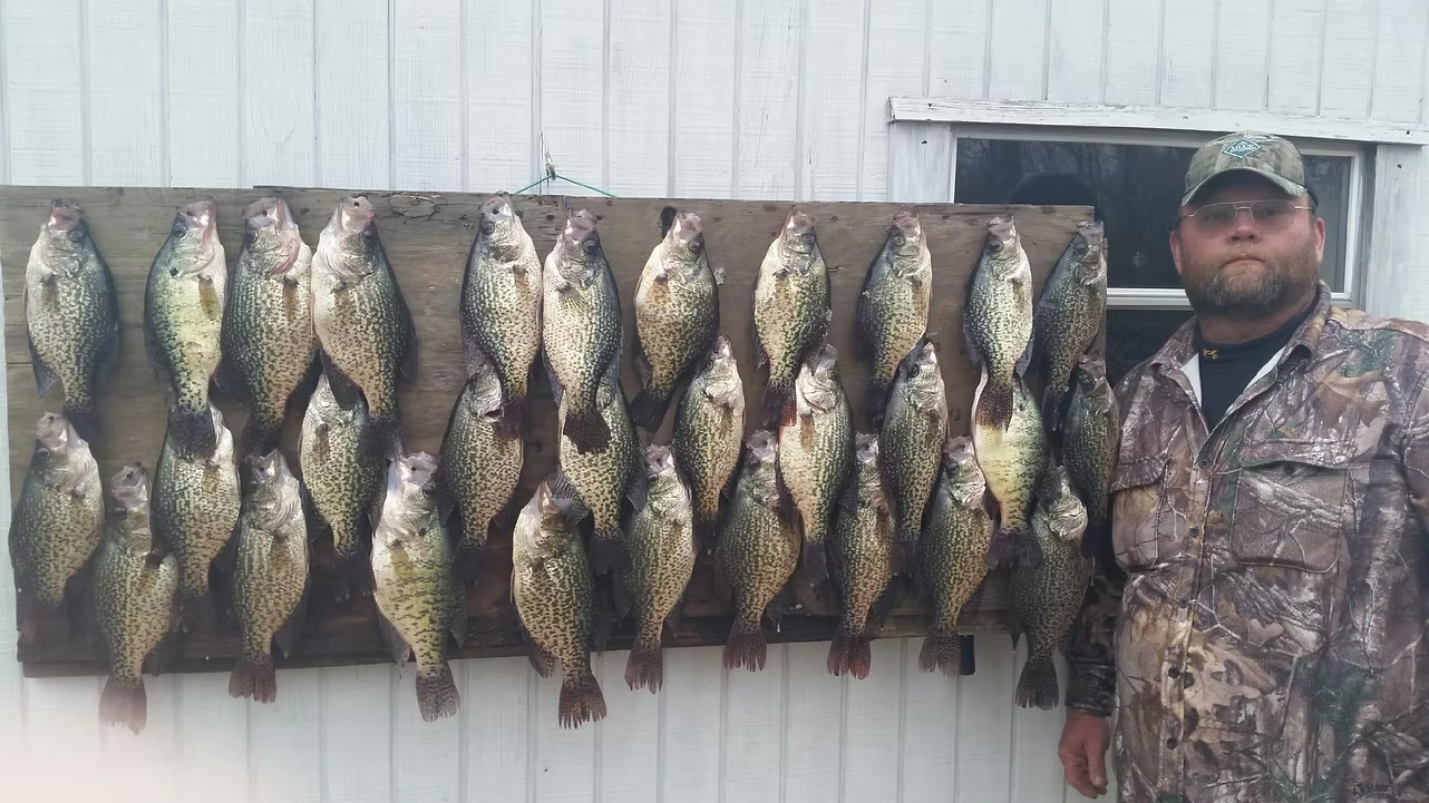 Man posing beside a row of fish hanging on a wall outdoors