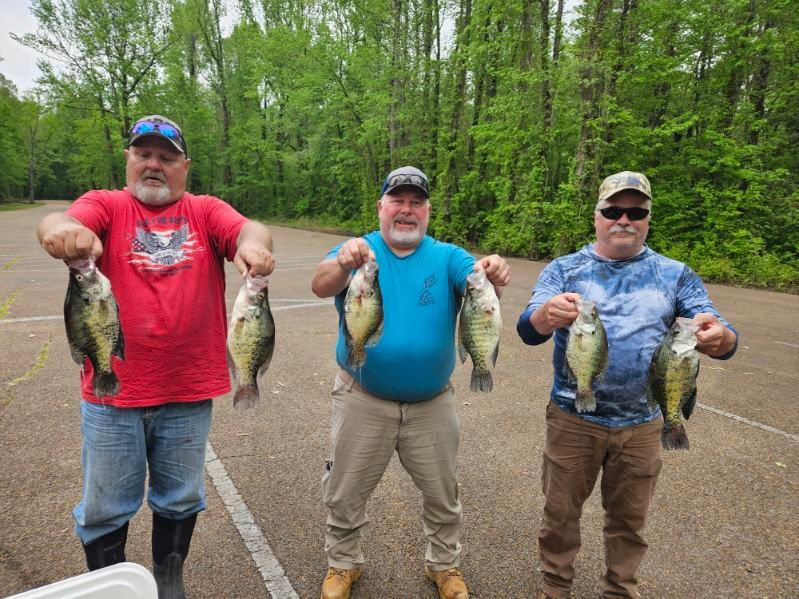 Three anglers posing with large fish on a roadside, wearing red, blue, and camo shirts.