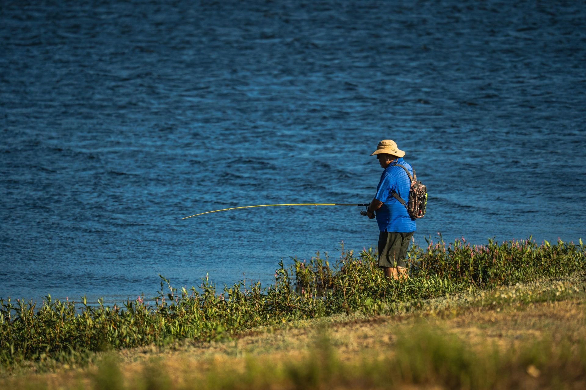 Person in blue fishing by a grassy lakeshore, with calm blue water in the background