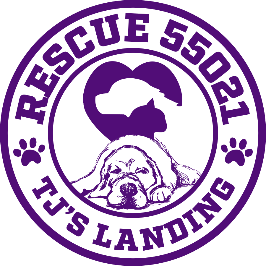 Rescue 55021 Logo