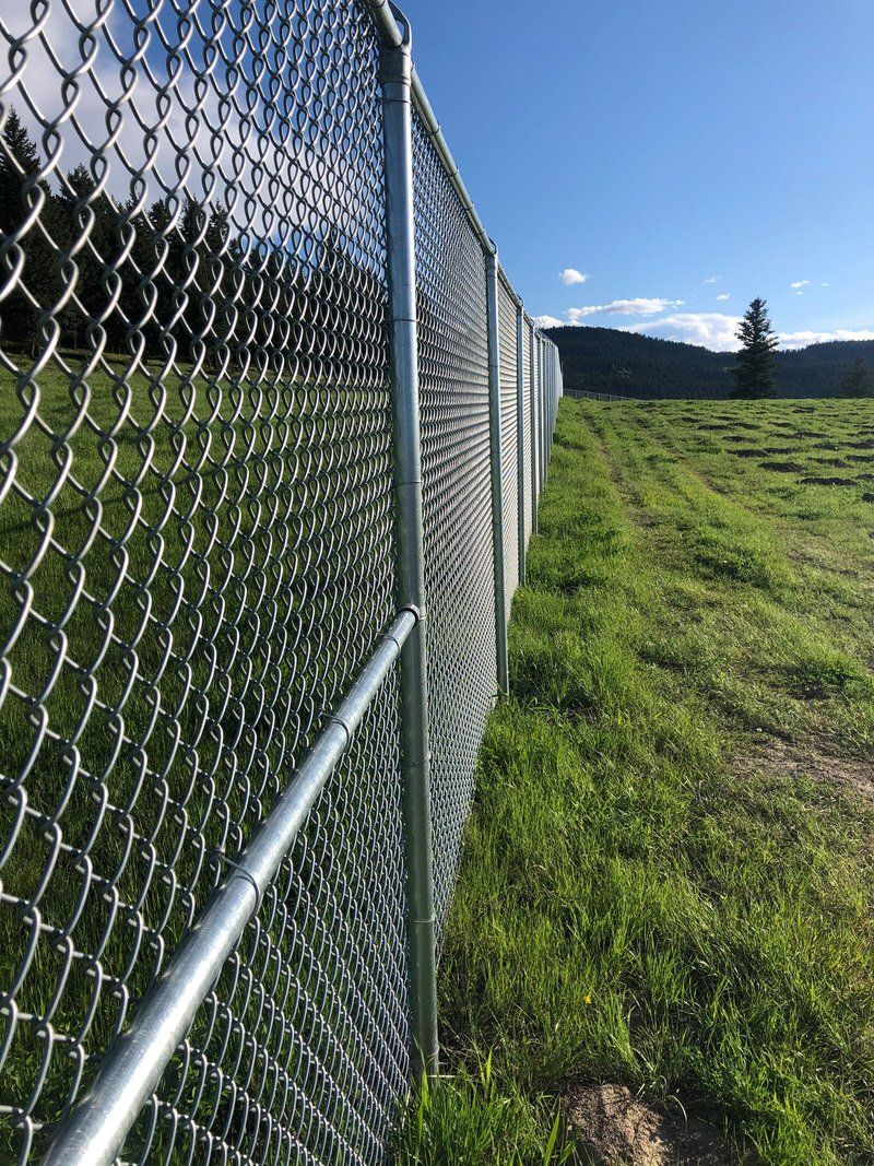 Chainlink Fence at a outdoor cannabis farm in British Columbia