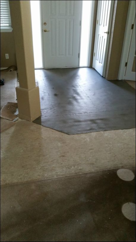 A hallway with a carpeted floor and a white door.