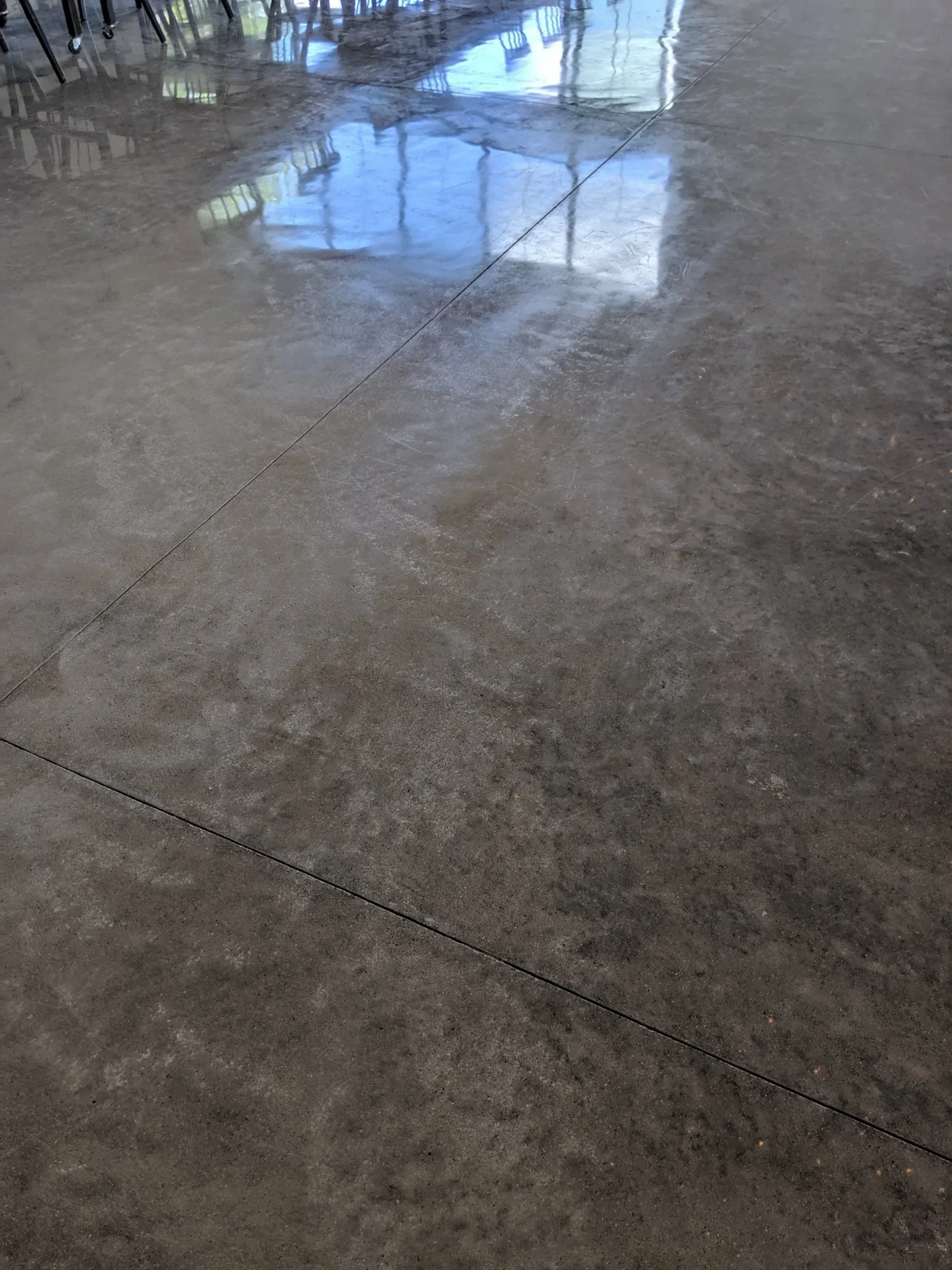 Wet concrete floor reflecting a window and trees indoors
